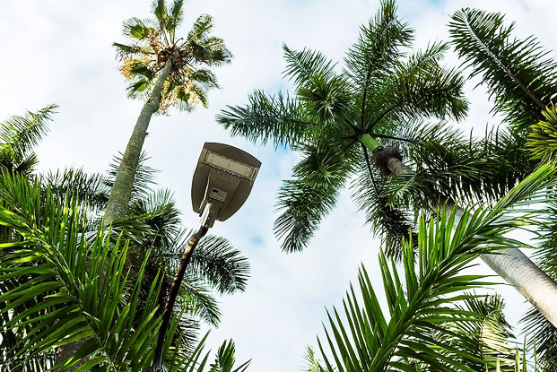 LED Street Light Fixture in Urban Roads