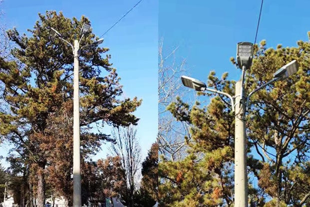 Street Lamp Lighting In Community Roads