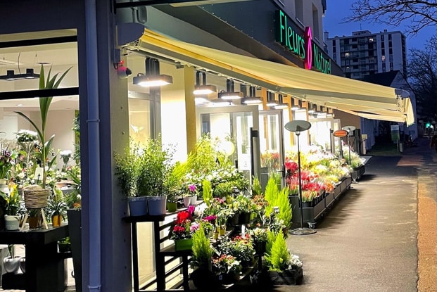 Garden Flood Lights in French