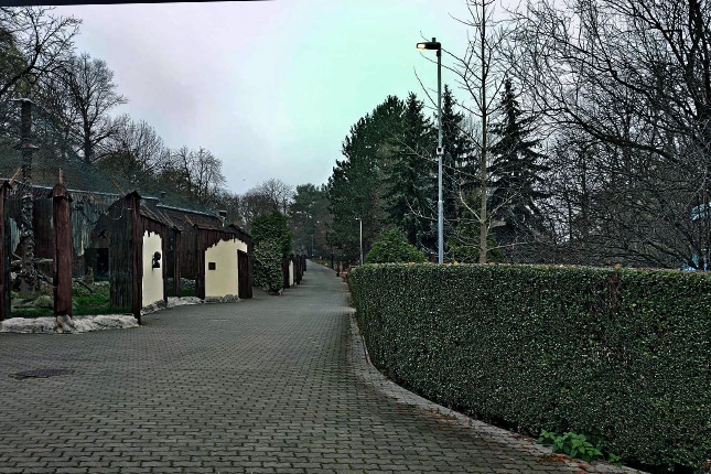 smart street lights in a park in Slovakia-2