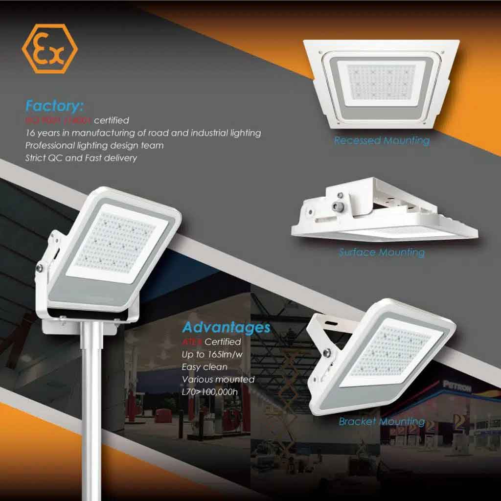 ZGSM Led Canopy Light